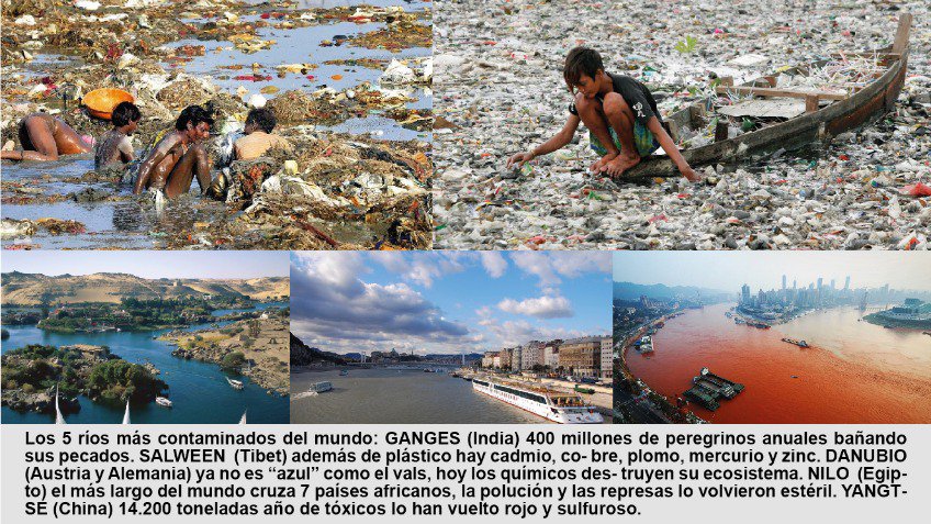 Langueyú: ¿oportunidad o maldición? 